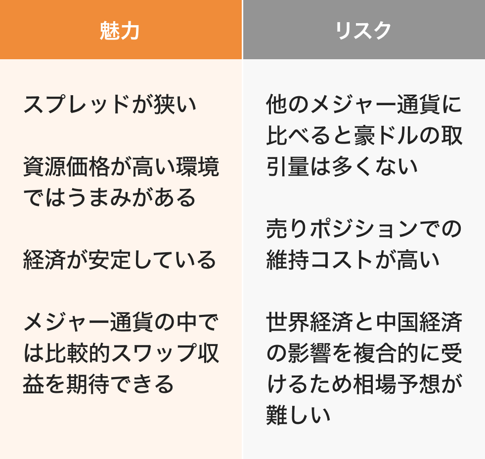 南アフリカランドの魅力・リスク